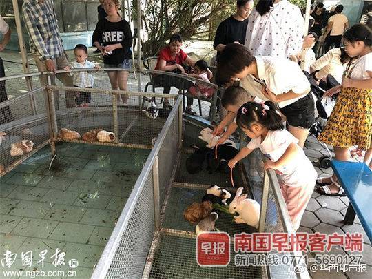 呼市最早的丰洲路是哪条路段;厢房,呼市丰州路的都去哪里了
