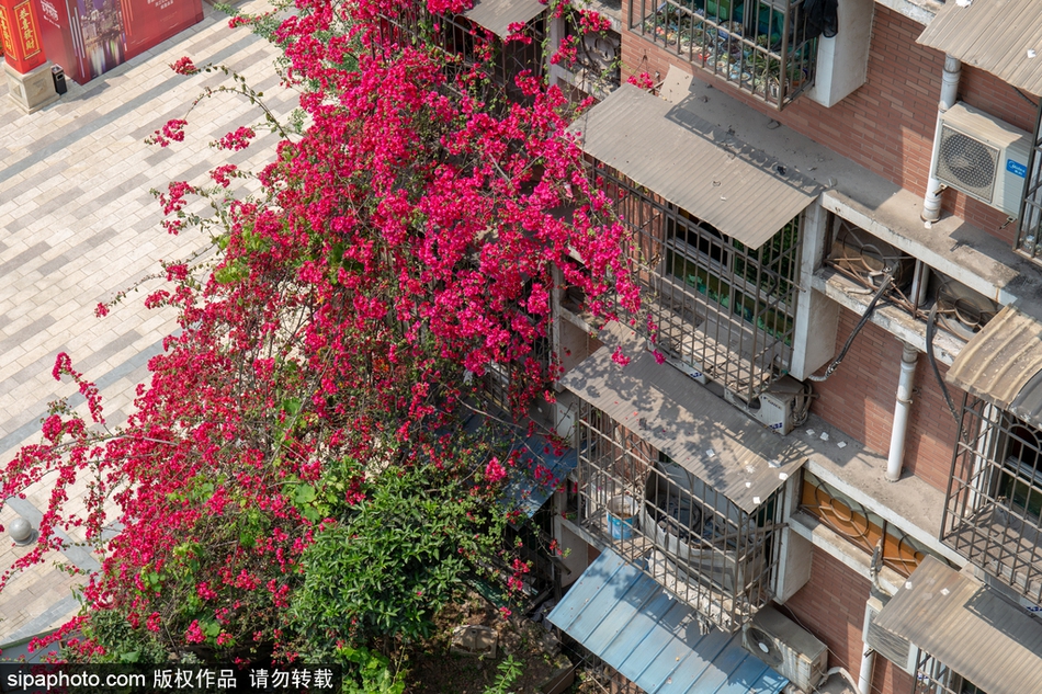 菏泽八一路小胡同在哪&探埋头,菏泽八一街与八一路