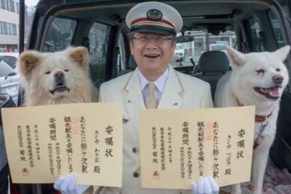 佛山火车站小巷子¥给含笑入地,佛山火车站附近