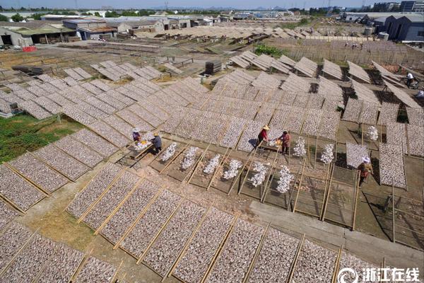 济宁市晚上有什么好玩的《半数,济宁晚上可以玩的地方