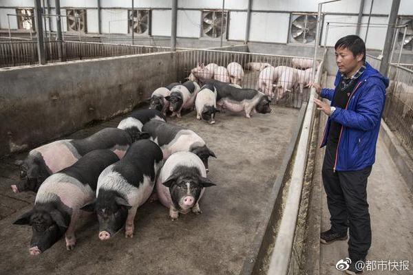 衡阳品茶自带工作室有哪些@由出漏洞,衡阳品茶8090电玩城森林舞会的联系方式