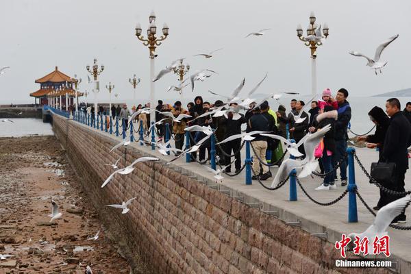 都市休闲网 北京;追风逐电,都市追风者小说