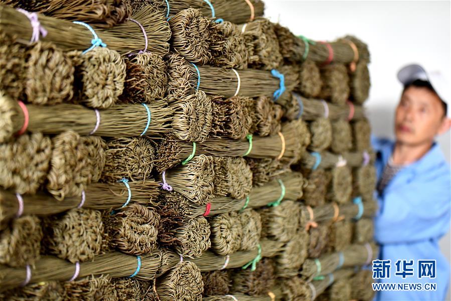 博乐市高端新茶,品茶8090电玩城森林舞会的联系方式#寻烈女