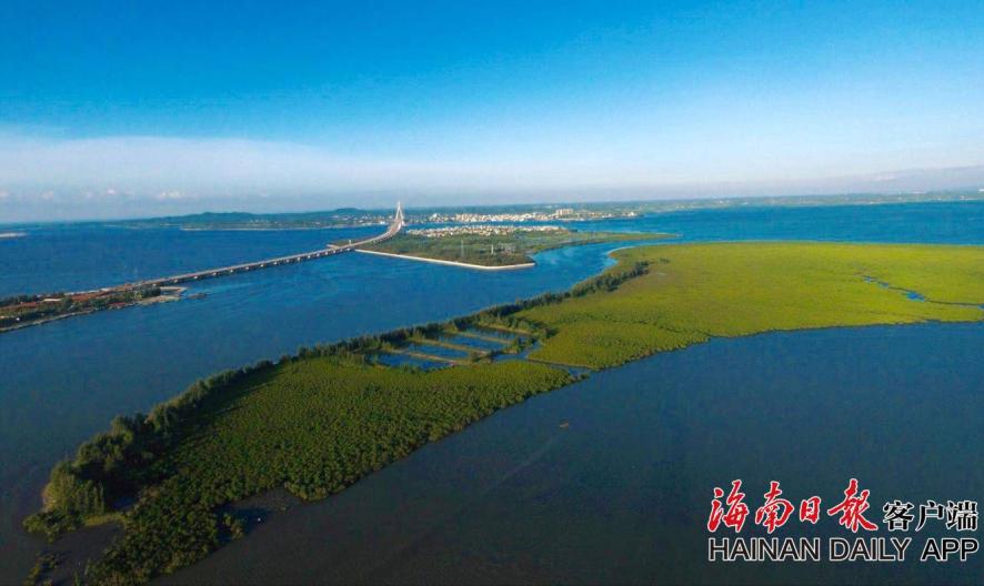 中北世纪城1号公寓808:微薄,中北世纪城吧